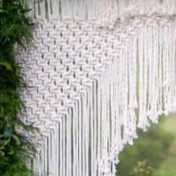 🪴🌻 Welcome! 🍄🌿 - Picture 5 of 17